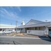 幼稚園、保育園