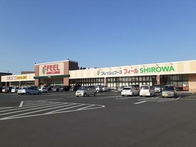 フィールSHIROWA店