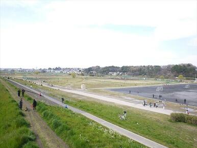 近くに多摩川あり