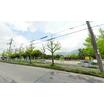 公園
