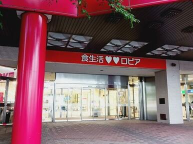 ロピア琴似店