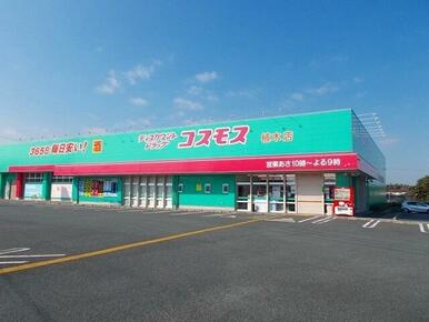 コスモス植木店
