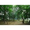 公園