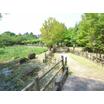公園