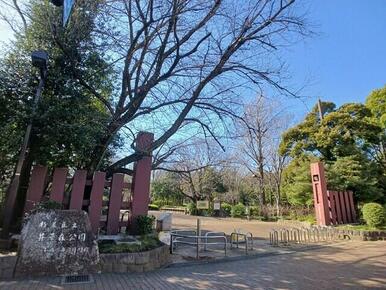 杉並区立井草森公園