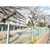 幼稚園、保育園
