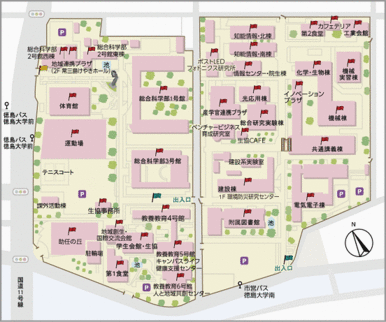 国立徳島大学総合科学部