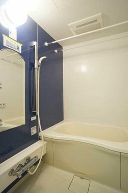 アクセントパネルを採用しております