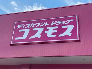 ディスカウントドラッグコスモス大分新川店