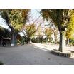 公園
