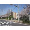 大学