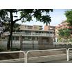 幼稚園、保育園