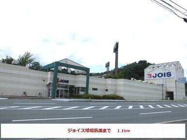 ジョイス球場前店