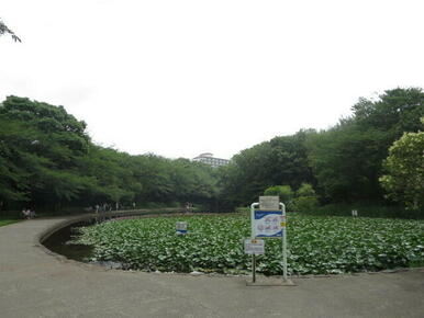 せせらぎ公園