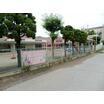幼稚園、保育園