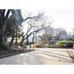 公園