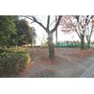 公園