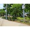 公園