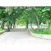 公園