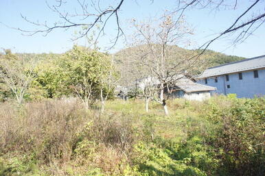 敷地の南より撮影（建物は東の松井酒造様）