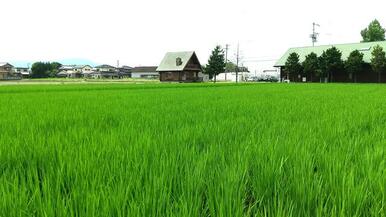 現地外観⇒のどかな田園風景に隣接