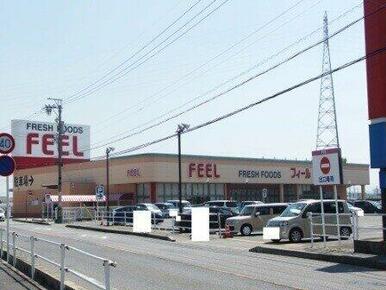 フィール岡崎大和店