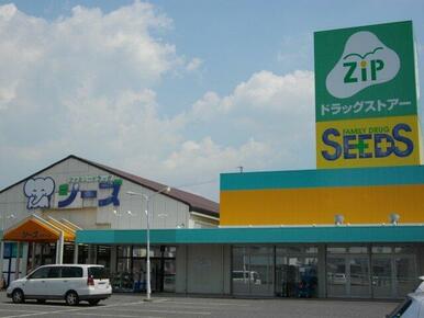 ジップドラッグ岡崎大友店