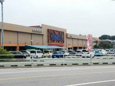 フィールＮＥＷＳ店