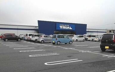 トライアル