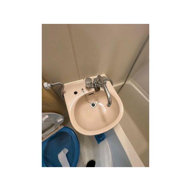 何かと嬉しい洗面ボウル付