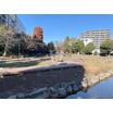 公園