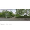 公園