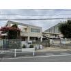 幼稚園、保育園