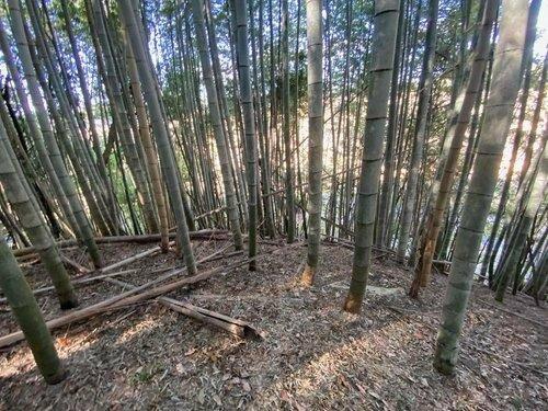 山武郡横芝光町 小田部 (飯倉駅) その他用地 山武郡横芝光町の売地の