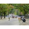 公園