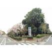 公園