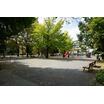 公園