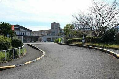 立花小学校まで500m