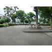 公園