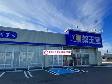 薬王堂北上村崎野南店