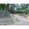 公園