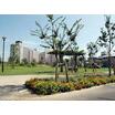 公園