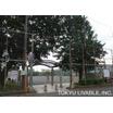 公園