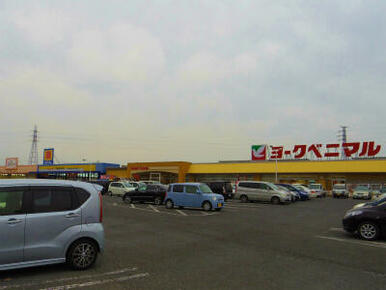 ヨークベニマル鹿沼店　582ｍ/徒歩8分、車2分