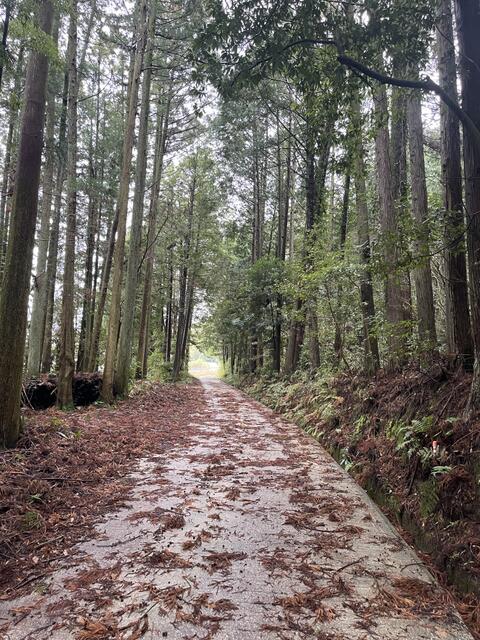 物件画像 福岡市早良区 大字東入部 家庭菜園用地