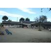 幼稚園、保育園