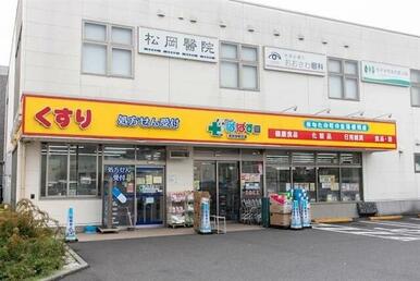 どらっぐぱぱす世田谷桜丘店