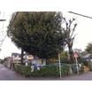 公園