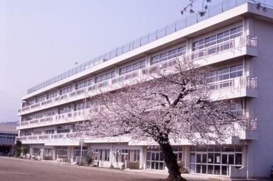秦野市立大根小学校