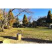 公園